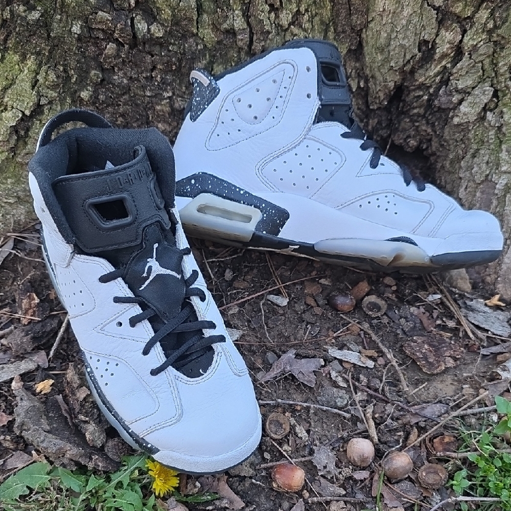 Jordan 6 "Reverse Oreo"  Black and White High-Top Sneakers